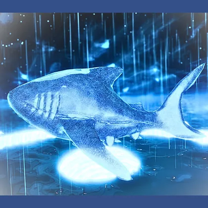 〖召喚ギミック〗鮫召喚 Shark summon